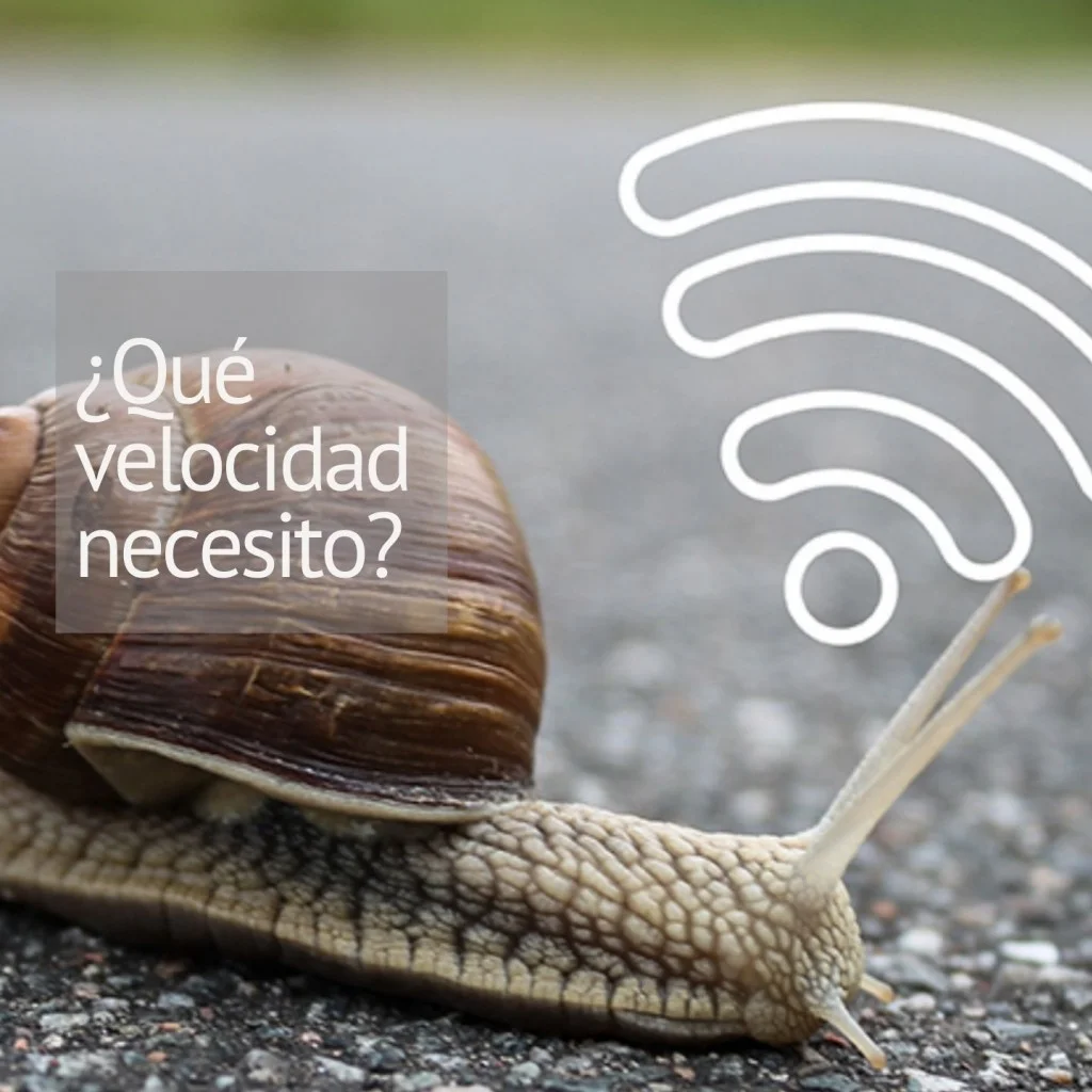 Qu Velocidad De Internet Necesito Eficiencia De La Conectividad En Casa