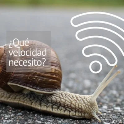 ¿Qué velocidad de Internet necesito?